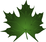 Lapas, maple leaf